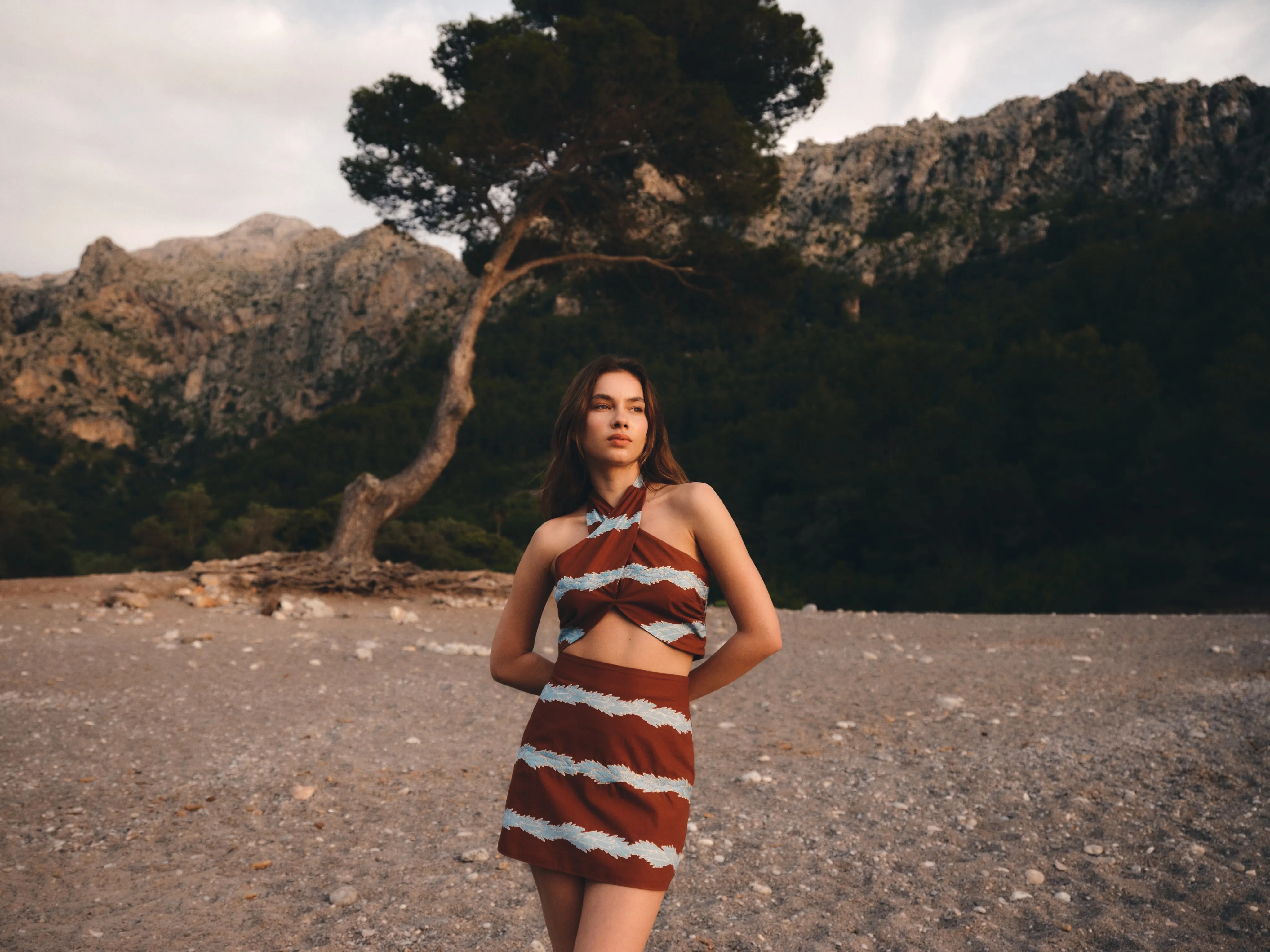 Carmelita Hand Embroidered Cotton Mini Skirt / Chocolate Striped Helechos